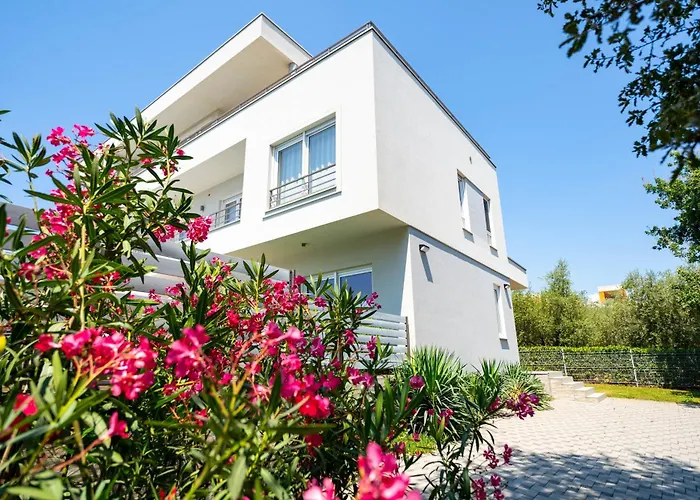 فيلة Chillax ميدولين